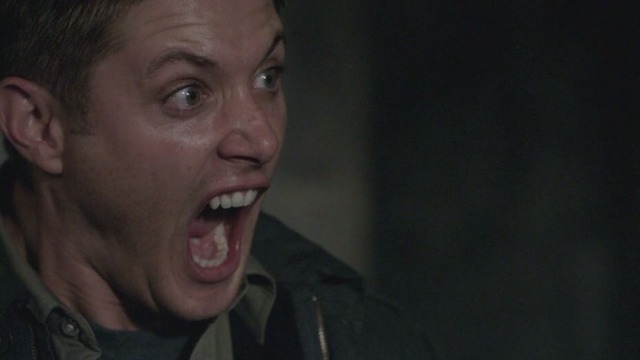 Dean Winchester Cat Scream Gif Dean Winchester Cat Scream Gif