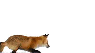 tumblr_static_tumblr_static_eiuj441xv6gcgk4kw008gw880_640.gif