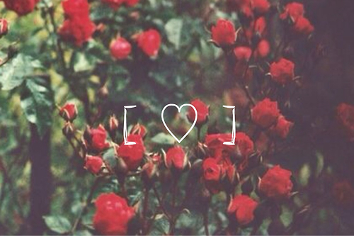 You and I... We were born to die. You and I... We were born to die.