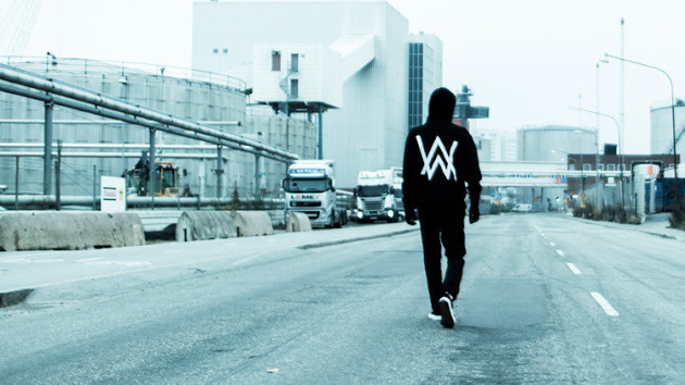 Image result for alan walker tumblr