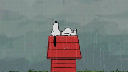 Resultado de imagen de tirarse acantilado gif