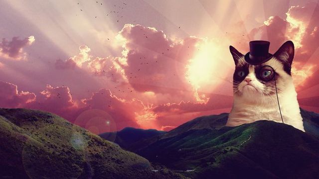 Resultado de imagem para O feio é o novo bonito tumblr