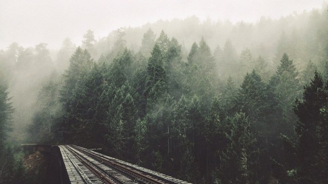 https://secure.static.tumblr.com/d9a2149531687fdddc6cdd83410d0b43/ot9afxj/b74nc73fd/tumblr_static_tumblr_static_3it5kvsl52yock4swwocoksss_640.jpg