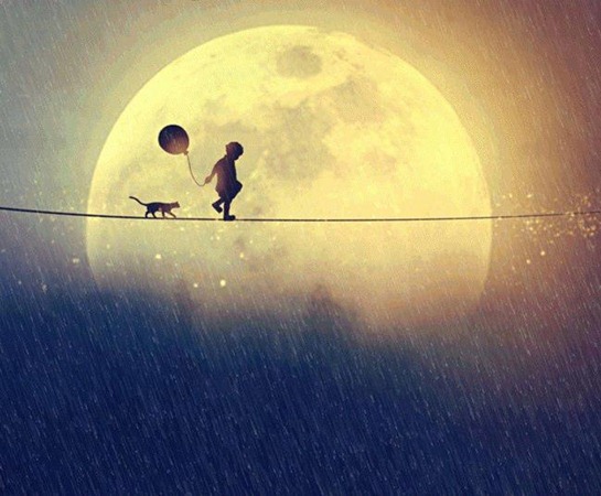 https://secure.static.tumblr.com/e589fb259b02f1b2b79497a9f04a27b3/ecmenps/CBmn1xicw/tumblr_static_gato.jpg