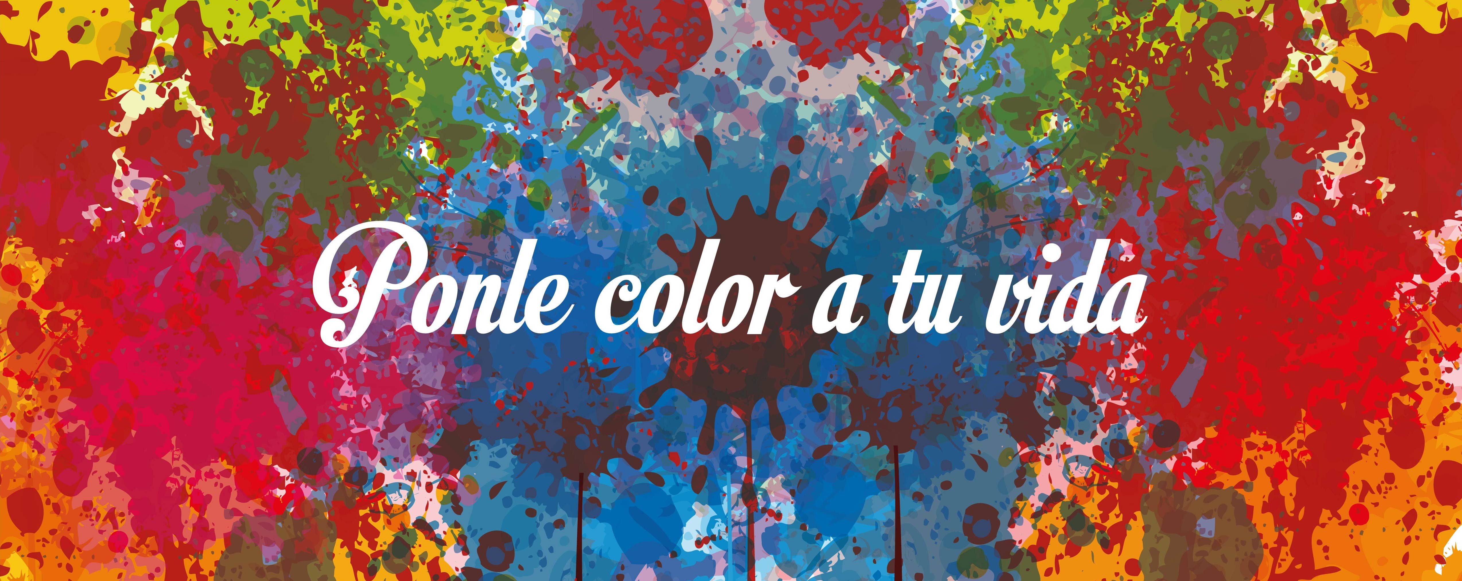 Color Fest Color Fest